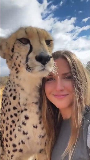 🐆 Is that a vegan CHEETAH? 😳❤️