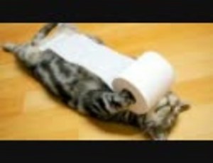 【L4D2実況】らき☆すたメンバーが無慈悲な街を行く　Part.2【加速装置ON】