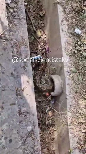 #uttarpradesh #snake #bbau #dangerous #reptiles #lucknow #wildlife #python #ajgar #india