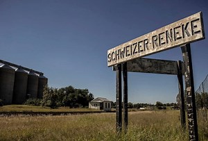 Laerskool Schweizer-Reneke incident sparks memories of two similar school racism sagas