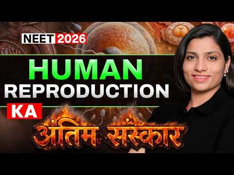 Human Reproduction - Last Hope Revision | Ritu Rattewal | #neet2026 #neet