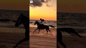 streamhorse: horseback riding on the beach at sunset
