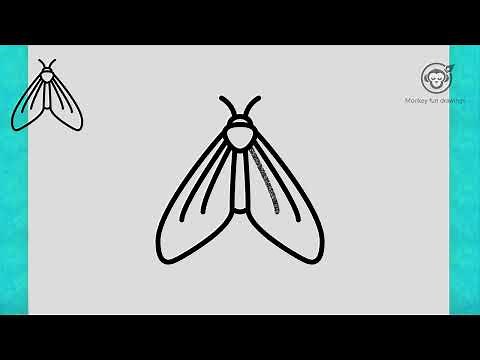 Learn How to draw moth easy for beginners easy drawing cute moth Step by step moth drawing tutorial