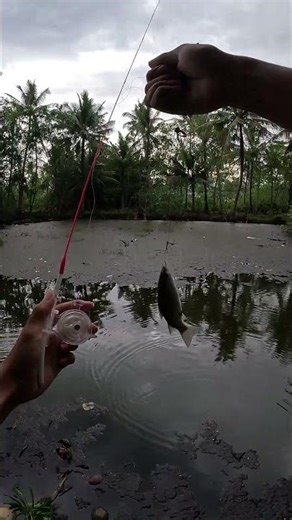 amazing mini fishing rod #fishing #micro #microfishing #usa #usareels #UnitedStates