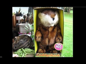 1999 Gemmy Caddyshack Gopher Dancing I'm Alright