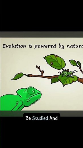 Evidence is everywhere! #evolution #biology #science