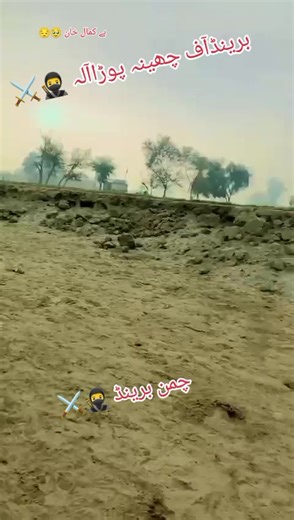 Unlocking the Secrets of Live Incentive Programs