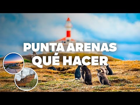 WHAT TO DO IN PUNTA ARENAS! Must-See Attractions and Activities!