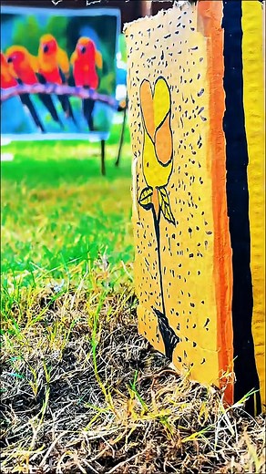 388K views · 5.6K reactions | • #LearnVideography • #VideographyTips...