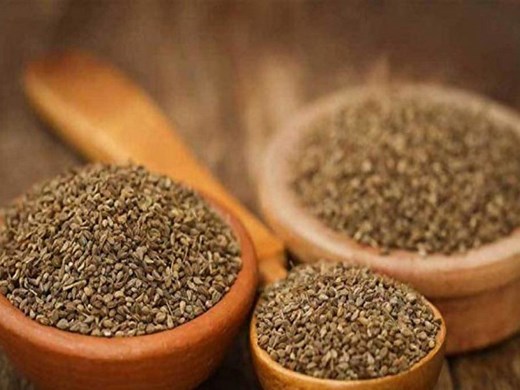 Ajwain Promotes Digestion? Check Out Its Health Benefits And Potential Side Effects