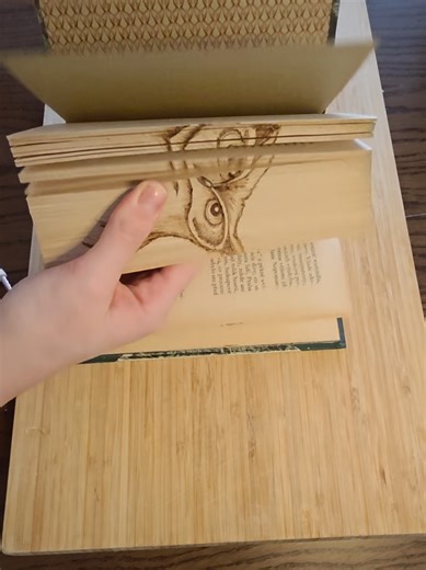 What do you think of this burned book! 🤩 #woodburning #houtbranden #booktok #pyrography #pyrografie