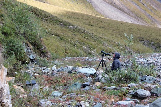 The Best Hunting Tripods of 2026, Tested and Reviewed