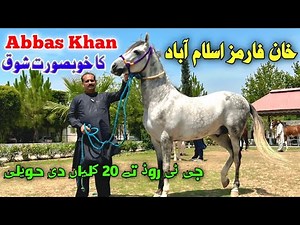 Beautiful Stud Farm in Islamabad | Khan Horse Farm | Equestrian Lifestyle in Pakistan