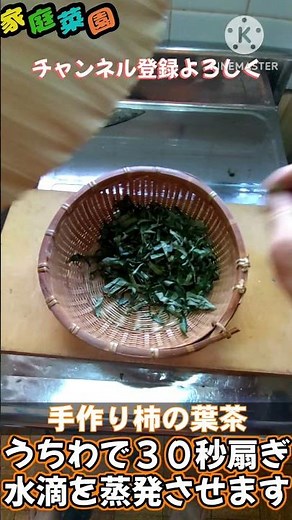 【家庭菜園】柿の葉でお茶を作ってみました #家庭菜園 #レシピ #料理 #柿の葉 #お茶作り #shorts