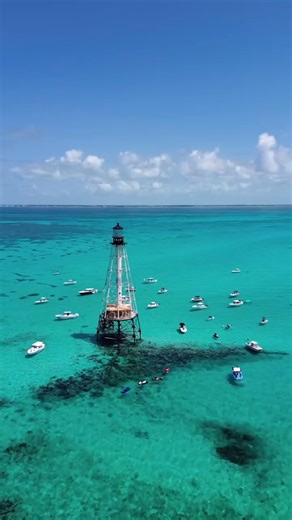 The Florida Keys on Instagram: "Colorful fish, clear water, and one very recognizable lighthouse await at Alligator Reef 🤿 🐠 Just offshore from Islamorada, Alligator Reef is one of the easiest places to snorkel in the Keys and one of the best for spotting marine life in shallow water. Local snorkel charters and rental boats head out daily, making it one of the most accessible reef spots to visit in the Upper Keys! 🎥: @thehaileykendall"