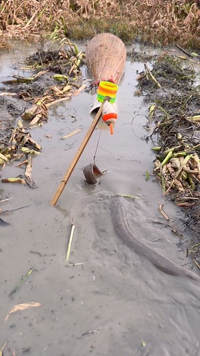 Amazing pipe fish trapping vlog 10 #catfish #reels | Duronto Fishing