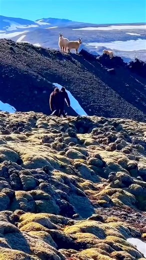 Remote U.S. Wilderness Recording Has Viewers Stunned 🤯🤯🤯 #realfootage #viralvideo #Mystery #wildlife | strace graves