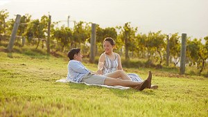 Your future road trip from Sydney: Exploring 6 famous wine regions in New South Wales