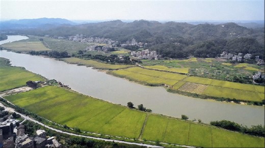 Experts: China's rural development experience inspires global agricultural solutions