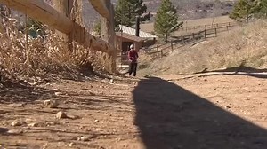 Colorado jogger strangles mountain lion after attack