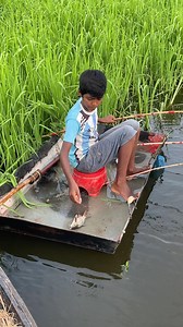 Bengali village fishing | MR Fishing Life
