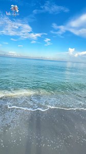 🌴Anna Maria Island, Florida! 🌴The room features plush king-sized beds mermaid tile bathrooms, and chic coastal decor.🏝️ Just steps to a private pool.🐠 2 minute walk to rod & reel pier🌅 10 minute walk to the historic bean point Enjoy lux amenities, a sun-kissed ambiance, an unbeatable price with serene atmosphere. This is the ultimate escape! #BeachfrontLuxury #AnnaMarialsland#OceanView #Paradise #BeachLife #LuxuryLiving | Jessica Pruitt