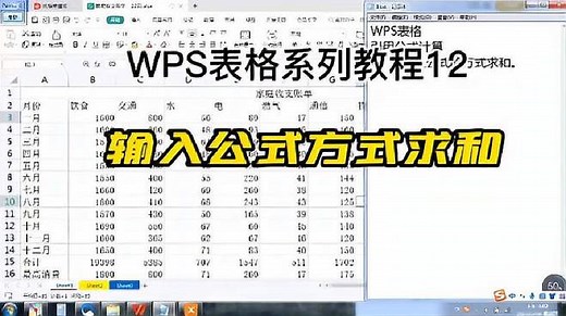 WPS表格系列教程12：输入公式方式求和