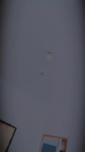 TCS School Friends Highlights: Connection and Memories