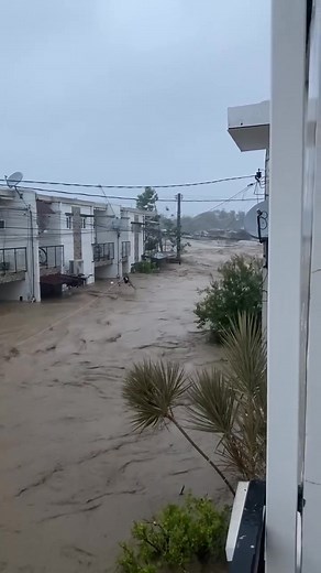 Need ug Rescue Ang taga Palm River Subdivision Biasong Talisay City. #highlightsシ゚ #cttocredittotherightfulowner #fypシ゚ #TyphoonUpdate #TyphoonTino #fyp #reels #trend #viral #fblifestyle | Angel Saguindel Chong