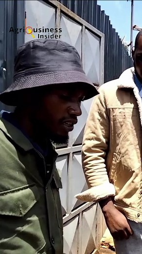 Get Premium Cow Manure for Fertile Farming