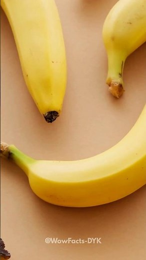 Radioactive Fruit: Bananas Explained ☢️