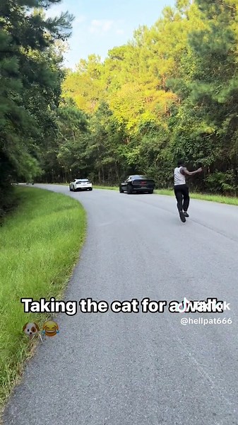 Taking the cat for a walk 😭#hellcat #viral #fyp #funny