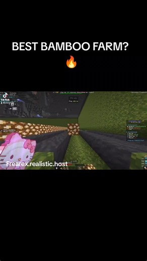 Discover the Best Bamboo Farming Techniques