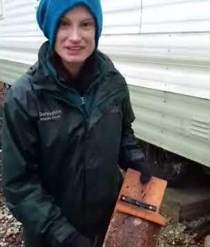 willow tit nest box building