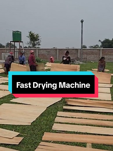 Fast Drying Machines for Plywood and Paper Products