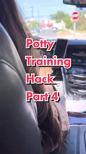 Portable Potty Training Car Seat for Toddlers | Road Trip Toilet Hack