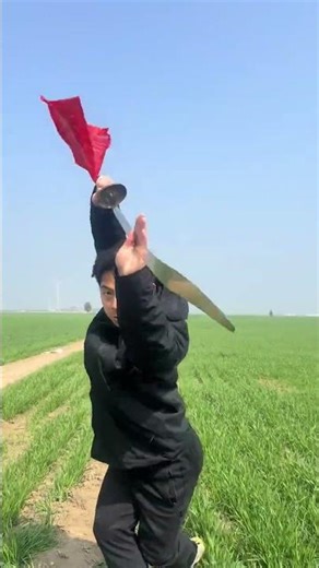 Golden Wheat Waves and Wind Shadows: A Visual Symphony