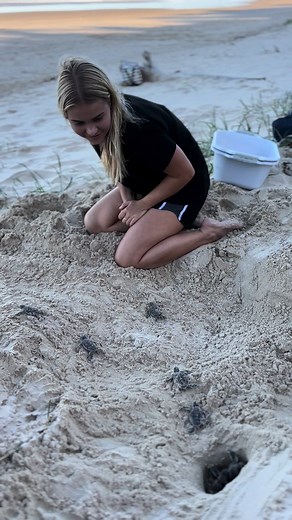 Turtle Hatching 🐢💚 - Witness the Miracle of Life!