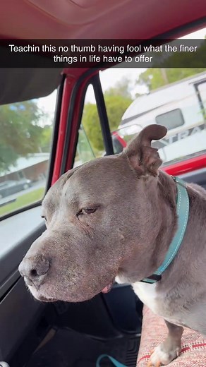 Cody Anderson on Reels