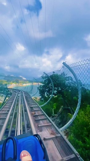 Thrilling Alpine Coaster Adventure in Labadee, Haiti!
