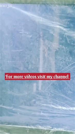 Learn how to use getchar() in C to take character . Like💬 Comment🔔 Subscribe for more coding videos