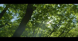 Sony FS5 4K @ 120fps Test Footage