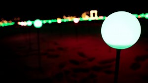 10K views · 189 reactions | The "Magic" begins on Friday, December 2, at Windmill Island Gardens! If you don't have tickets for Magic at the Mill, purchase them at magic.windmillisland.com/ | City Of Holland, Michigan - City Hall | Facebook