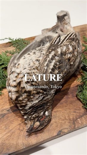 LATURE | Omotesando, Tokyo #foodie#restaurant#gastronomy#umamiholic