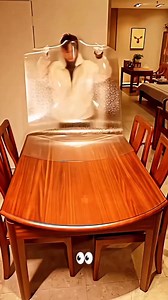 PVC Table protector 💜 #pvc #PVCTABLECOVER #tableprotectorpvctableprotector #glasses #cover #waterproof #tablecover #qualityvista #homedecor #homeaccessories | QualityVista