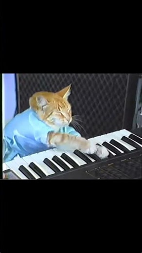 Keyboard Cat 1984