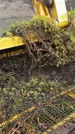 We Cleaned the River and Found So Many Fish part 2 😱 | River Rescue Fishing