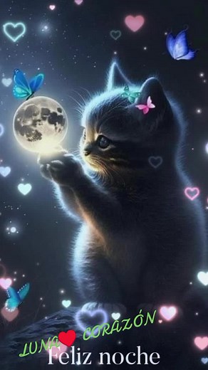 Cuentas recomendadas