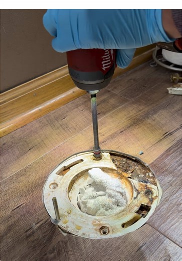 How to Replace a Broken Toilet Flange