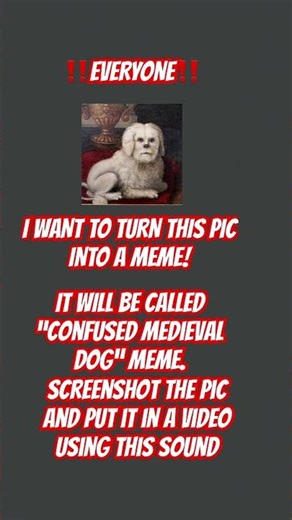 Check the pinned comment. #meme